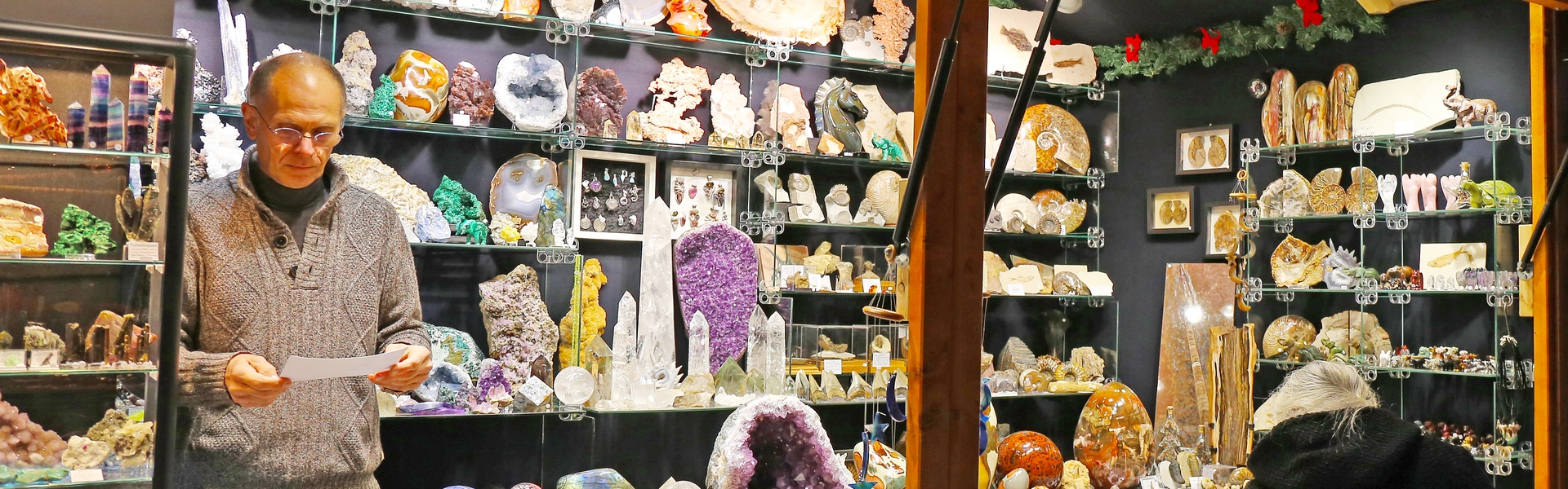 Fossile Schätze und Mineralien